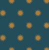 Suns